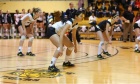 Volleyball Tigers on a hot streak