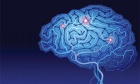 Inside the mind: Killam Prize winner on how our brains produce creativity