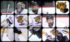 Tigers 2013 recap‑women's hockey