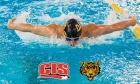 Believing they belong: Tigers swim teams hit the national stage
