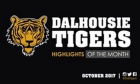 VIDEO: Tigers highlights of the month