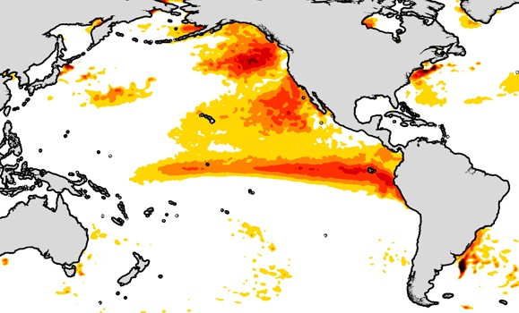 Heatwave rising: How increased ocean temperatures threaten marine life ...