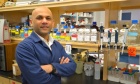 Dal‑led project awarded $3.2 million to develop new immunotherapy drugs for advanced melanoma