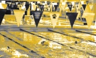 Tigers women's swim team: Season preview