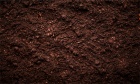 Soil is the key to our planet's history (and future)