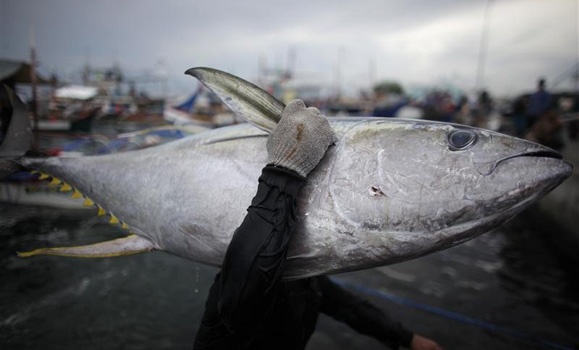 Using AI to Help to Detect Illegal Fishing