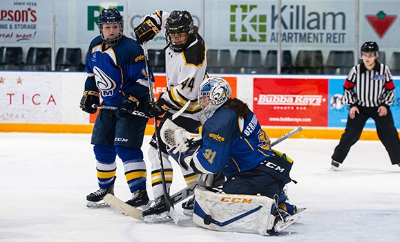 Tigers Weekend Recap (Nov 20‑23) Dal News Dalhousie University