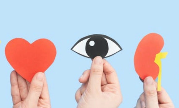 Opt out Organ Donation Is Nova Scotia s deemed Consent Law Ethical 