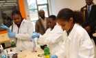 Dal’s Imhotep’s Legacy Academy awarded funding from NSERC’s PromoScience Program