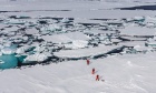 Microplastics found in naturally occurring slime under Arctic ice cap