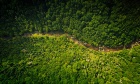 Nova Scotia is moving to a new forestry model — Dal researchers explore the consequences