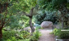 Stone‑cold stellar: Campus rock garden garners major international accolades