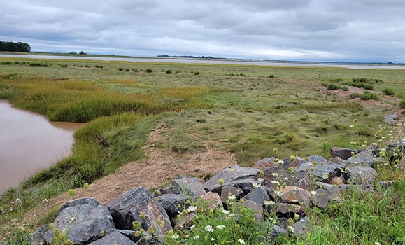 The Bay of Fundy and Its Wetlands (Canada)