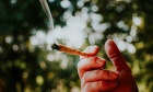 People who smoke both cigarettes and marijuana 12 times more likely to develop harmful lung condition, study shows