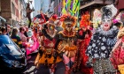 Dal social anthropologist explores the joyful reasons people are drawn to Mardi Gras