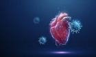 Cardiovascular risks and COVID‑19: New research confirms the benefits of vaccination