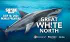 Great White North: Documentary featuring Dal vet explores increase in Nova Scotian shark activity