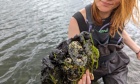 Ecosystem engineers: Researchers explore whether oysters can help clean one of Nova Scotia’s polluted waterways