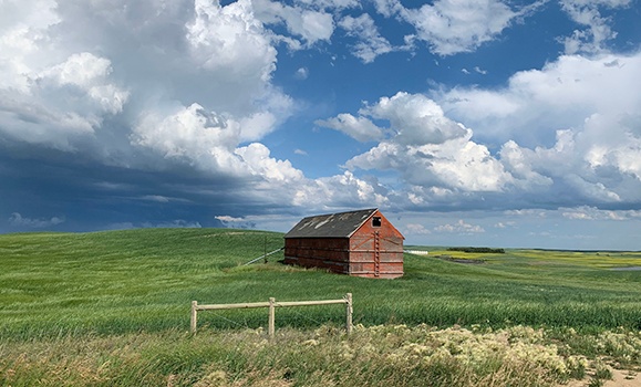 Dal researchers to lead national team to modernize Canada’s soil data infrastructure