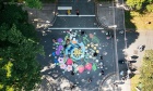 Community street painting fosters creativity and connection