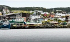 ‘Making decisions closer to the wharf’ can ensure the sustainability of Canada’s fisheries and oceans