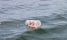 Plastics threaten ecosystems and human health, but evidence‑based solutions are under political fire