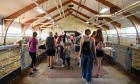 In photos: Community Day on the Agricultural Campus