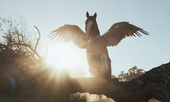 Dalhousie students break down Super Bowl 2026 ads, from Budweiser to Jurassic Park – Dal News