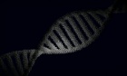 Global study highlights the genetic roots of anxiety