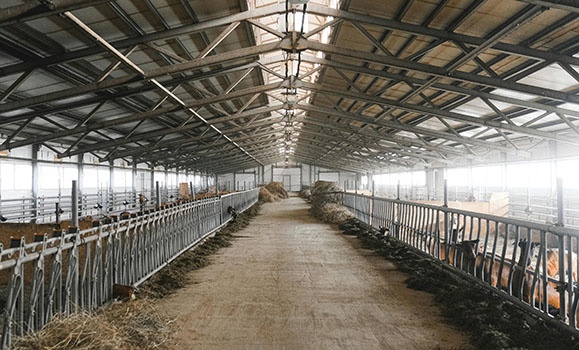 Hackers, barns, and breakfast: Why agriculture needs cybersecurity – Dal News