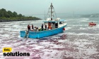 DalSolutions: How ���� is helping to transform Nova Scotia into a global hub for carbon removal