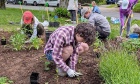 Growing community: New Halifax pollinator garden part of Dal group’s efforts to counter eco‑anxiety