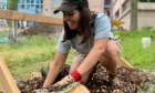 Student‑led pollinator garden adds to campus green infrastructure