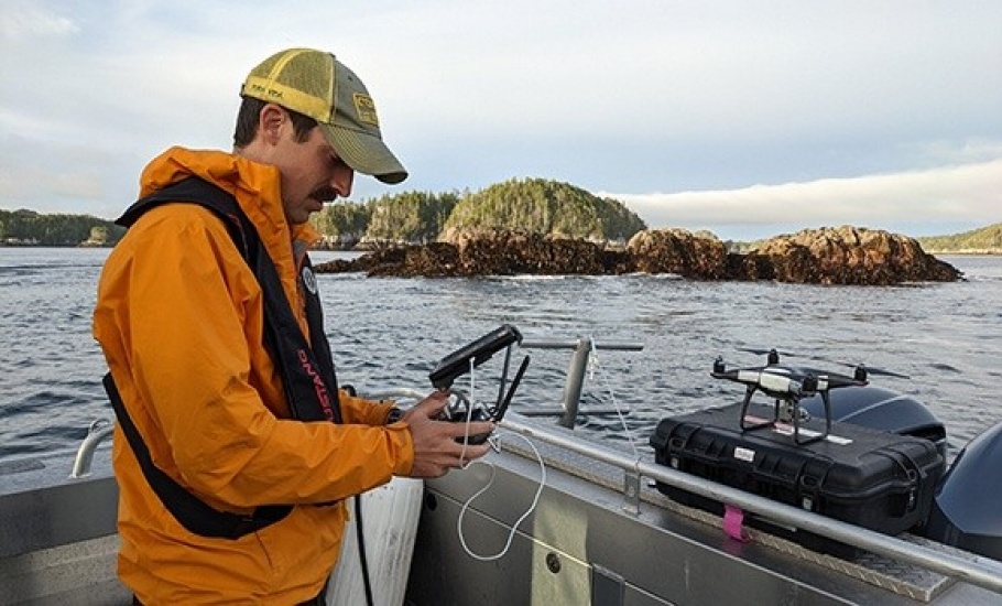 Researcher prepares to fly a drone off the coast of B.C. to capture images of mussel beds that will be analysed by AI.