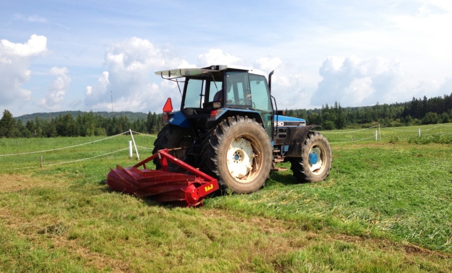 Tractor pulling a no-til crop roller over a green manure