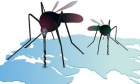Controlling Malaria in Africa: Are We Winning?