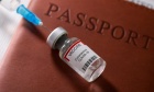 CBC Radio's The House: Should Canada Issue Vaccine Passports?