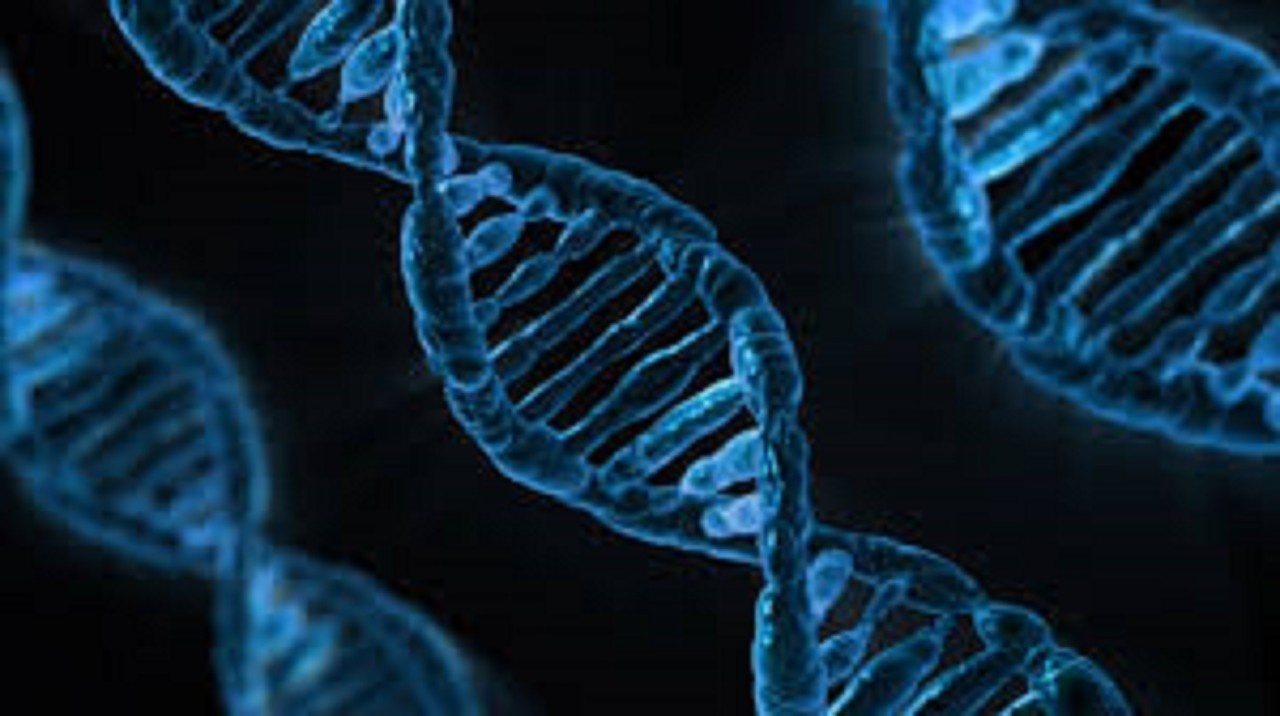 nte-heritable genetic modification