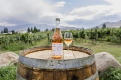 Wine Product Shots (7) Wine Product Shots (7)