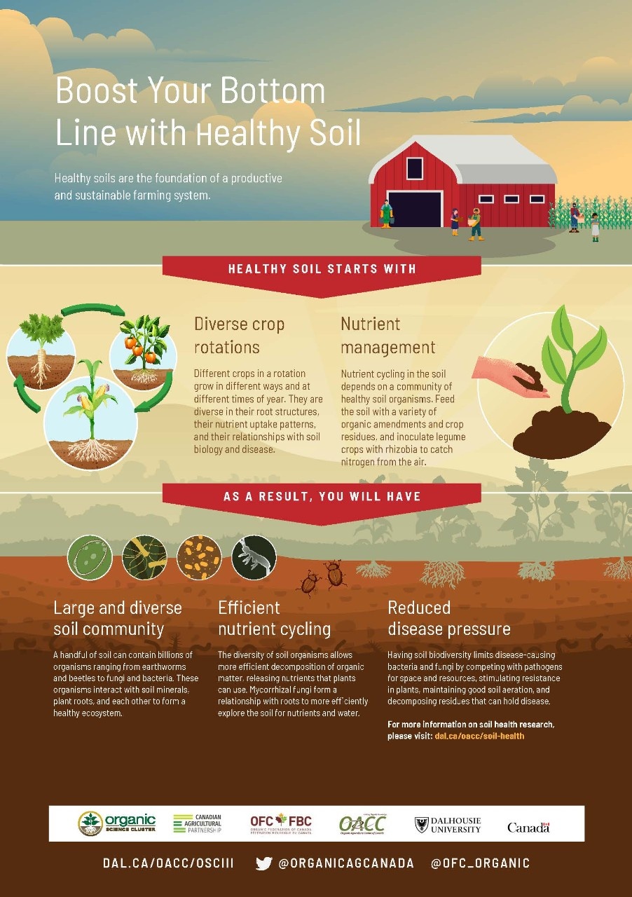 Soil Health Infographic_FINAL Soil Health Infographic_FINAL