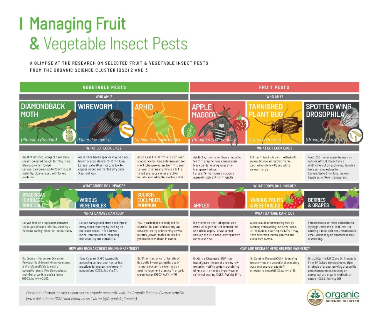 FINAL- Pest Infographic- EN FINAL- Pest Infographic- EN