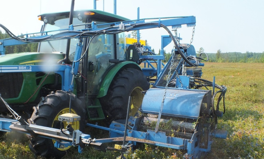 Wild blueberry harvester