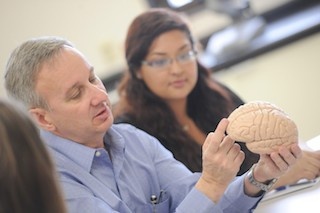 Dr. Baldridge discussing a model brain with students