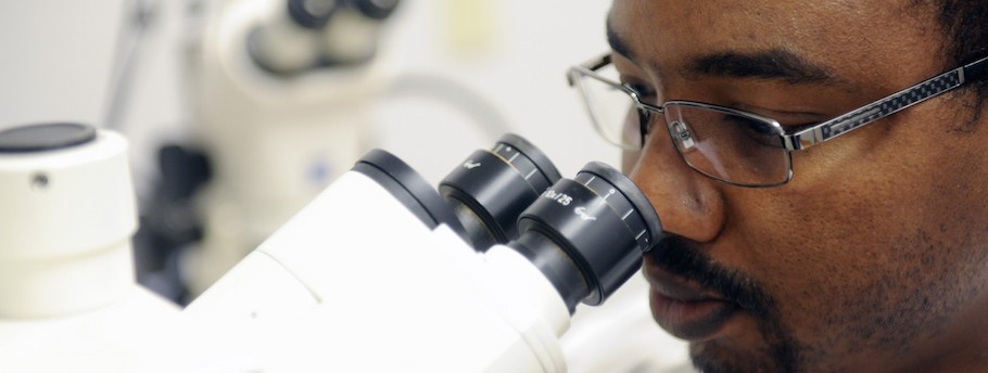 PhD student conducting research with a microscope
